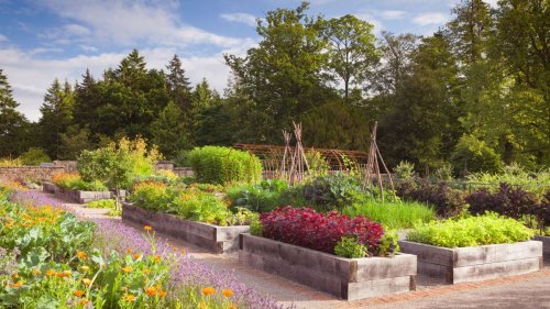 How deep should a raised garden bed be? Find out from the experts