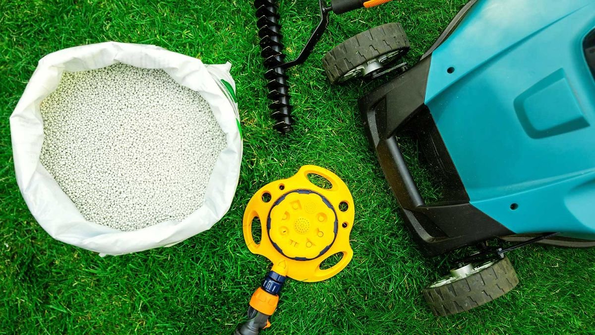 8 essential lawn care tasks – for perfect turf in your yard