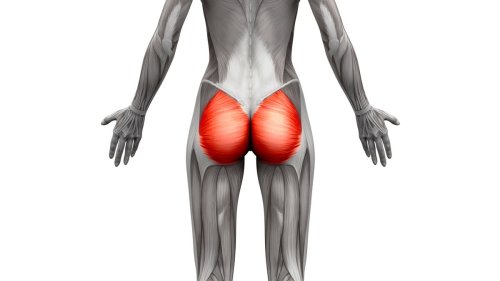 Glute muscles: What they are and how to make them stronger