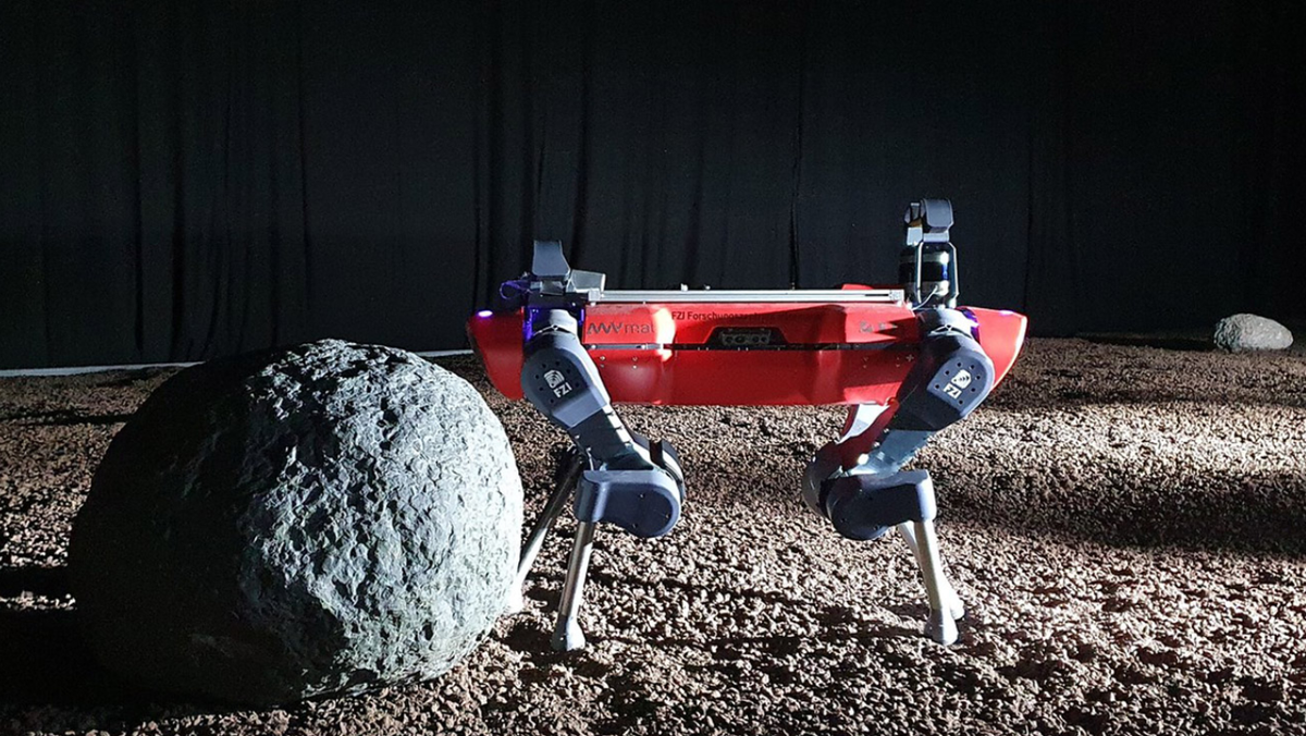 Moon's best friend: Robot dogs could be future lunar explorers