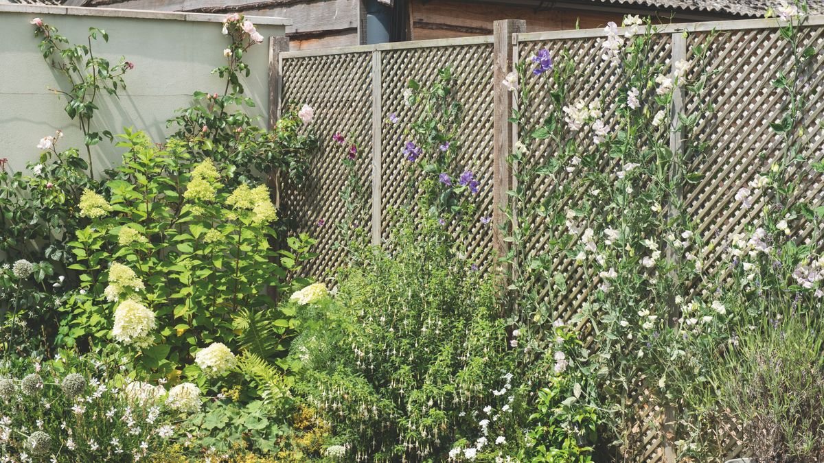 Small wildlife garden ideas — 7 ways to turn a tiny space into a haven for birds, bees, frogs and more
