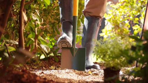 How to make the 5 worst gardening jobs easier – with time-saving tips from the experts