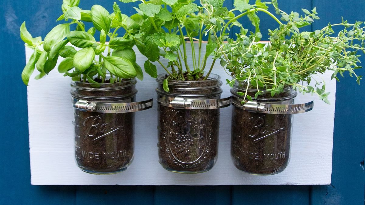 How to make a mini DIY herb garden: give this simple weekend project a go