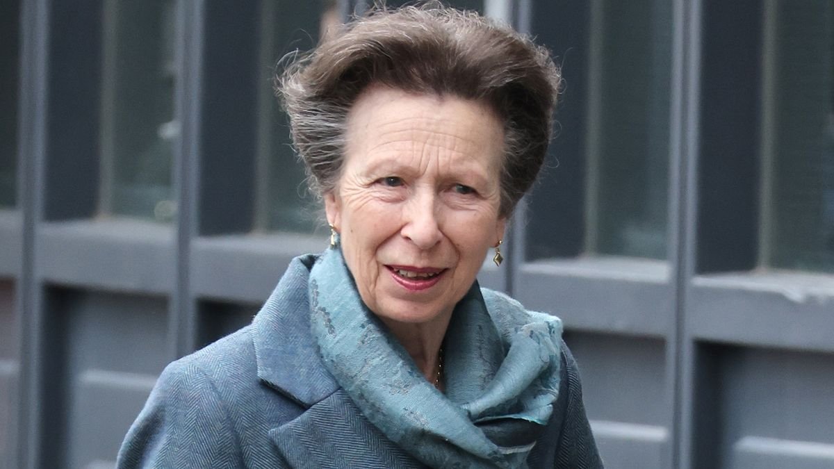 The one question no reporter has 'the guts' to ask Princess Anne