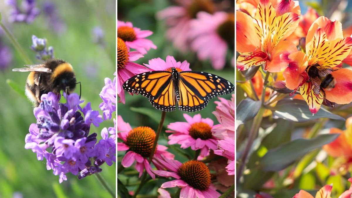 How to achieve a healthy garden