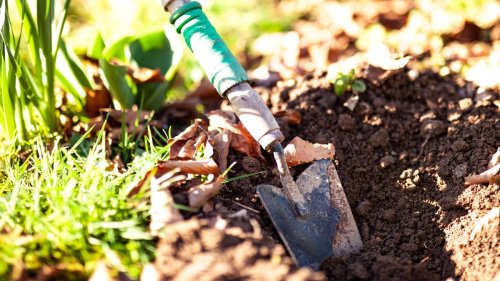 7 December Gardening Jobs That You Shouldn't Overlook