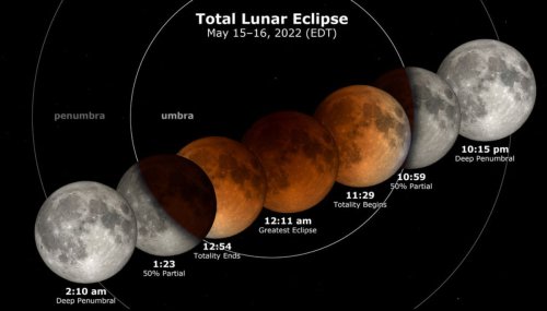 Want to see the Super Flower Blood Moon? Here's one scientist's tips for the total lunar eclipse.