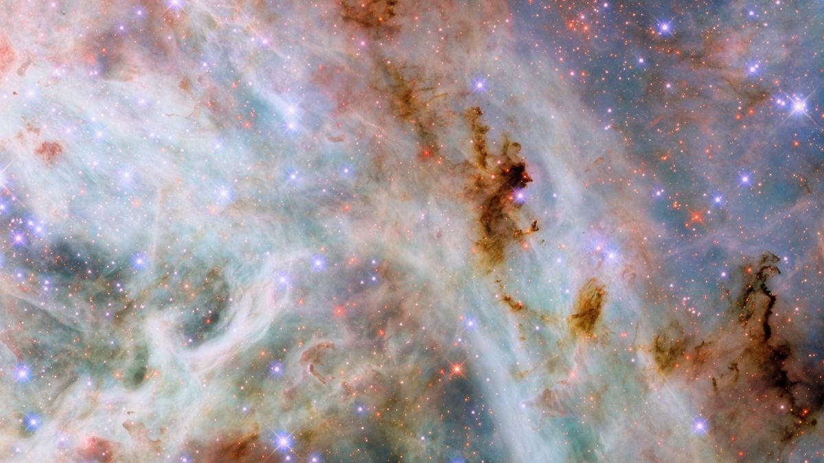Space pictures! See our space image of the day