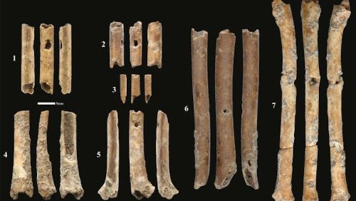 12,000-year-old flutes carved of bone are some of the oldest in the world and sound like birds of prey