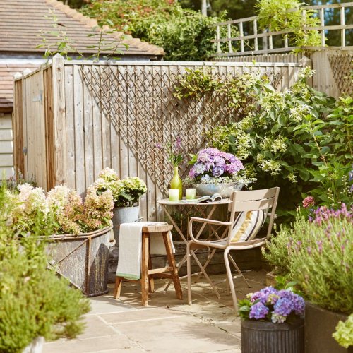 How to add privacy to your garden 