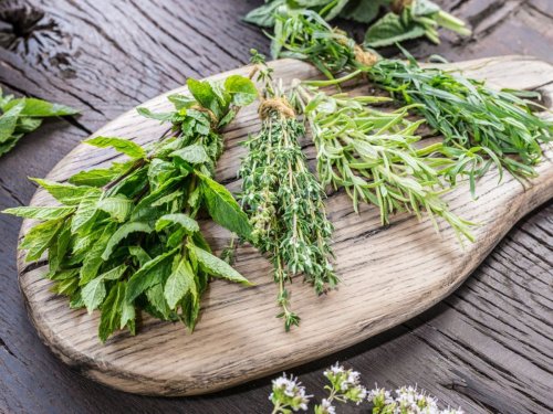 Storing Garden Herbs: Tips On Preserving Herbs From The Garden