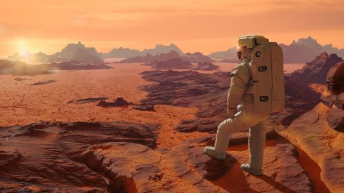 Building a home on Mars … with bacteria?