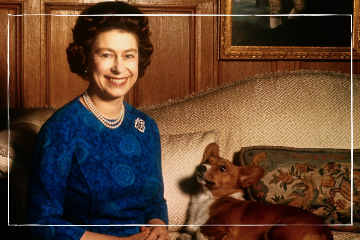 This is the royal breed of dog the Queen absolutely loves