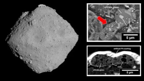 'This might be the seeds of life': Organic matter found on asteroid Ryugu could explain where life on Earth came from