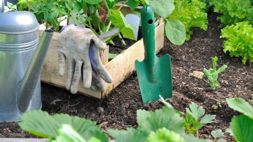 How to "Amend" Garden Soil for Your 2024 Growing Season — Tips to Give Your Plants the Best Possible Start
