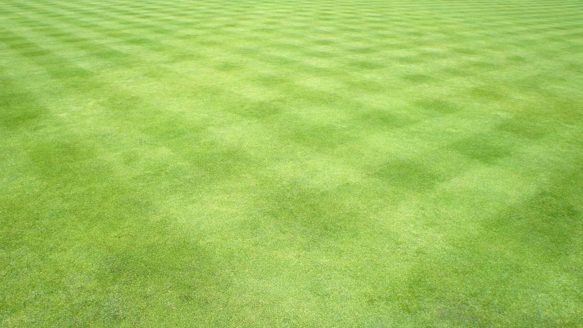 What is the best direction to mow a lawn? Discover why varying it up is crucial to healthy grass
