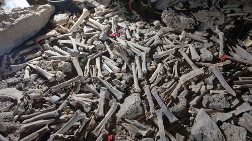 Human skull fragments found in massive boneyard in hyenas’ lava tube cave