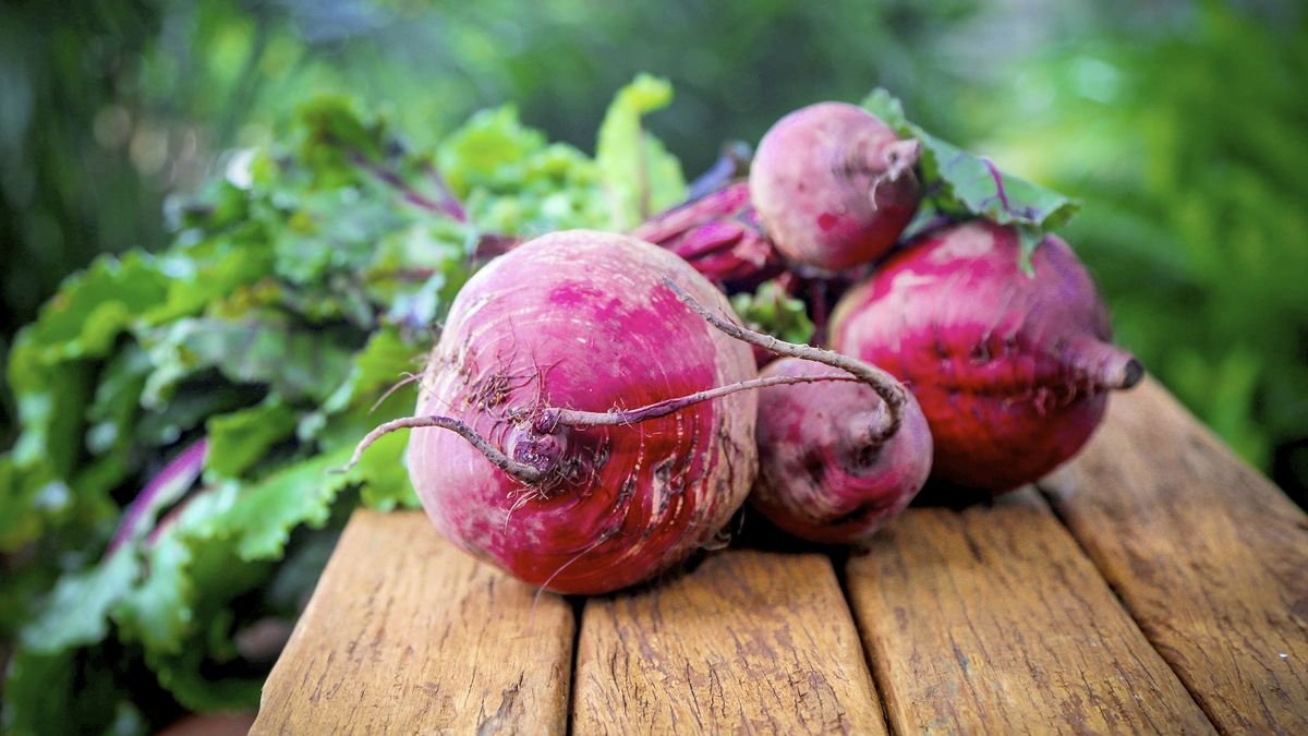 5 vegetables that are perfect for growing in pots or containers