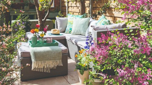 7 plants that will make your patio smell gorgeous - the top fragrant picks experts recommend potting up