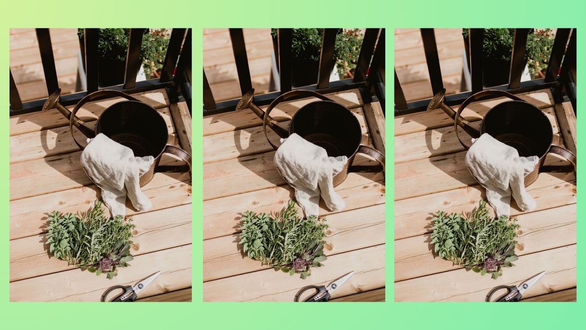 11 small garden ideas if you actually have a green thumb