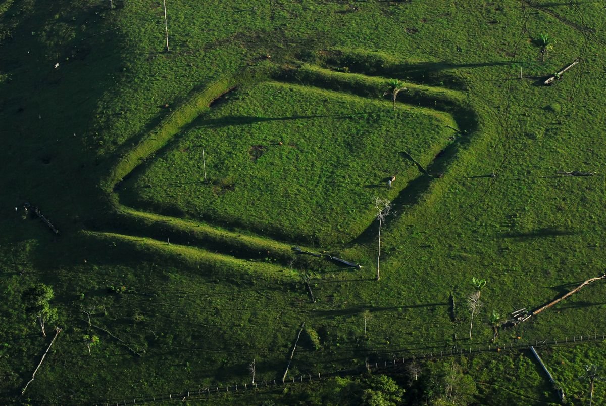 Mysterious Amazonian Geoglyphs Were Built in Already-Altered Forests