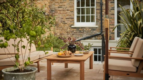 This $19 cleaning product obliterates moss and algae from my patio every spring – a few minutes of work guarantees months of protection