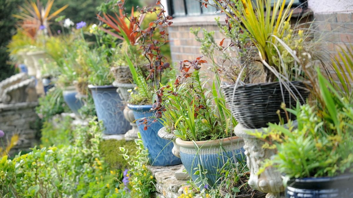 Container gardening – 10 steps to growing plants in pots and ideas to make them look gorgeous