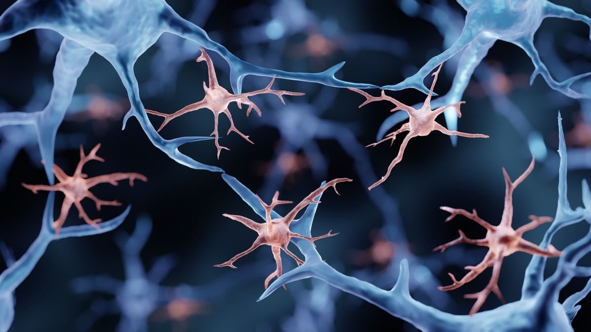 Brain inflammation may drive mood changes in Alzheimer's