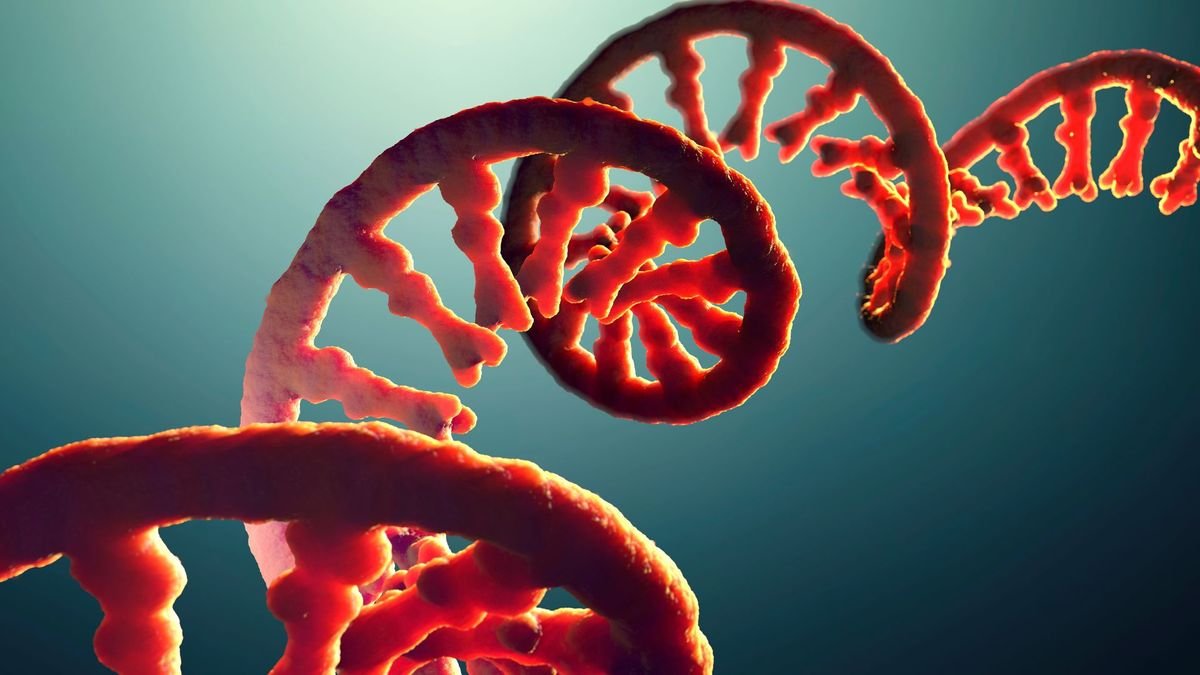 New Research on Alzheimer's Offers Hope for Early Detection