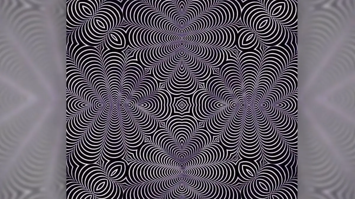 Optical Illusions & Brain 🧠 Teasers: What Do You See - cover