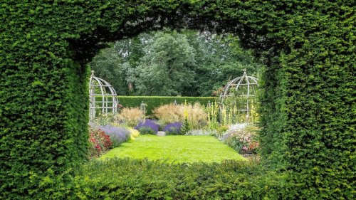 YOU’LL FIND
ME
GARDENING. cover image
