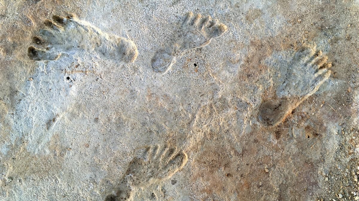 Debate settled? Oldest human footprints in North America really are 23,000 years old, study finds