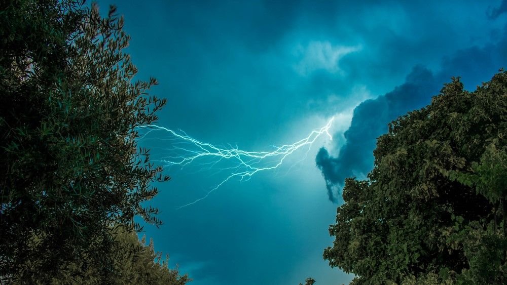 Plant leaves spark with electricity during thunderstorms — and that could be altering our air quality in unpredictable ways