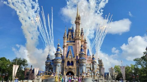 Apparently Riding A Popular Disney World Ride Can Cure Kidney Stones, According To Science