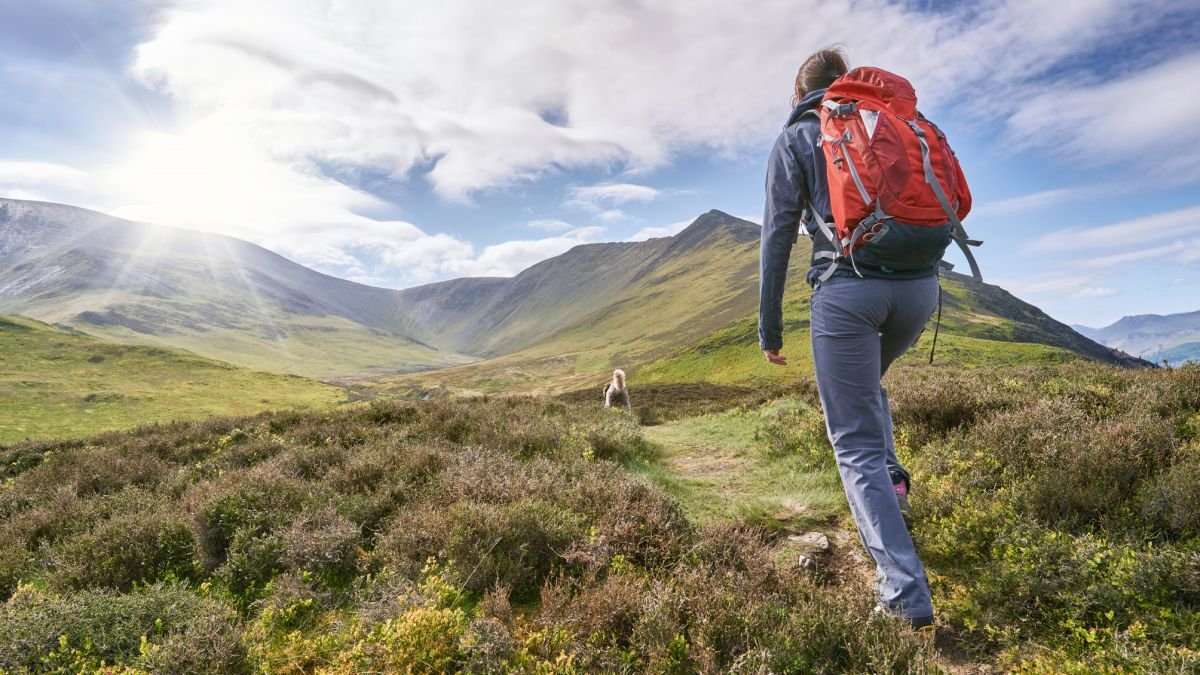 Best hiking backpack: from daypacks for shorter hikes to the finest expedition packs for epic adventures