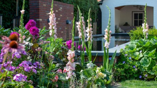 Flower bed ideas: 24 stunning ways to create floral displays in your garden