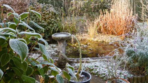 How to prepare a garden for winter: 10 ways to get your plot ready for the cooler season