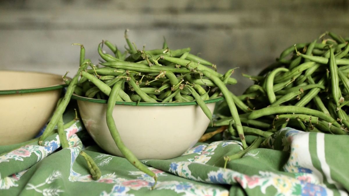 Monty Don’s French bean growing tips will ensure a bumper crop