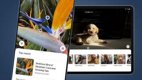 how-to-use-google-lens-on-your-iphone-or-ipad-flipboard