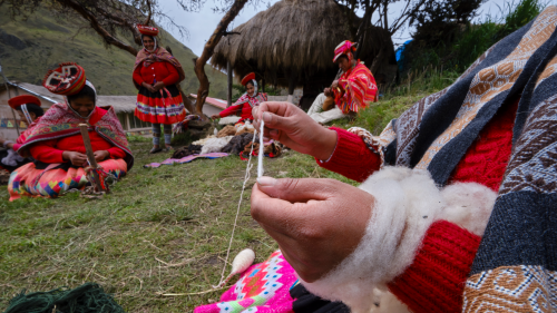 Humans reached southern South America by 14,500 years ago, genomes from 139 Indigenous groups reveal