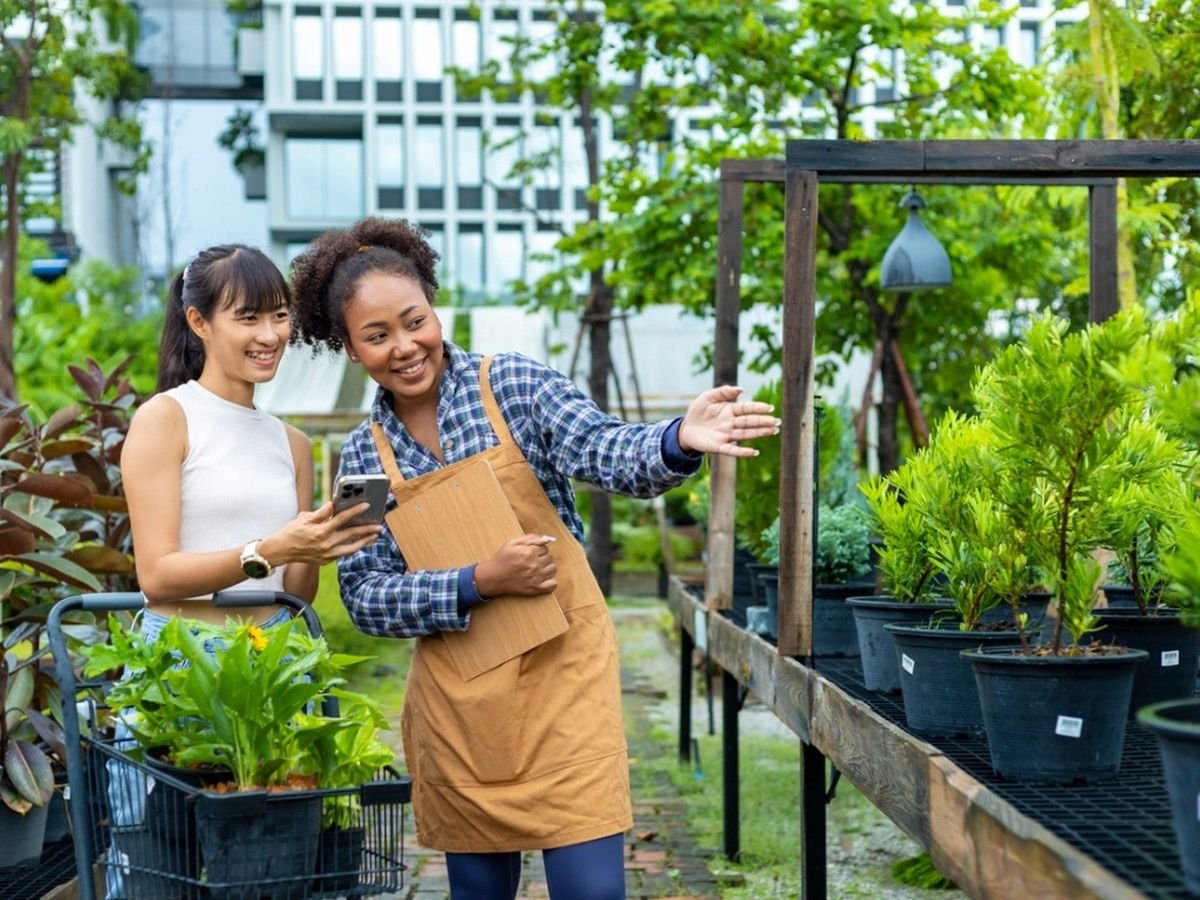 How To Choose A Tree For Your Yard Or Garden