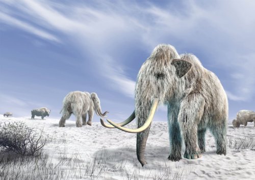Frozen in time: 5 prehistoric creatures found trapped in ice
