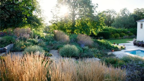 Sloped backyard ideas – 15 expert design tips for a terraced garden