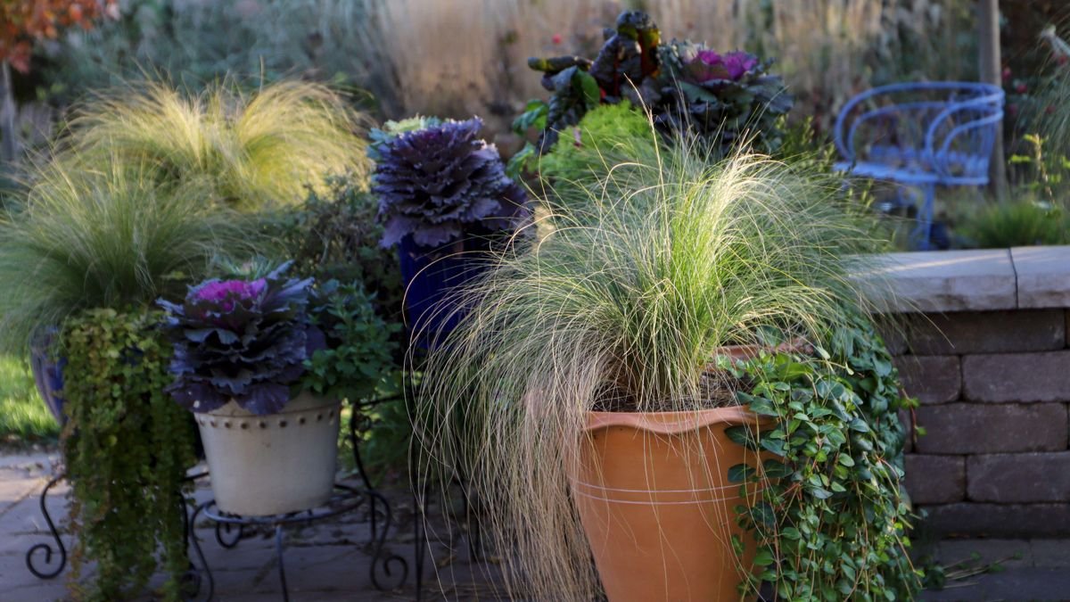 Fall planter that will add color and interest to your yard