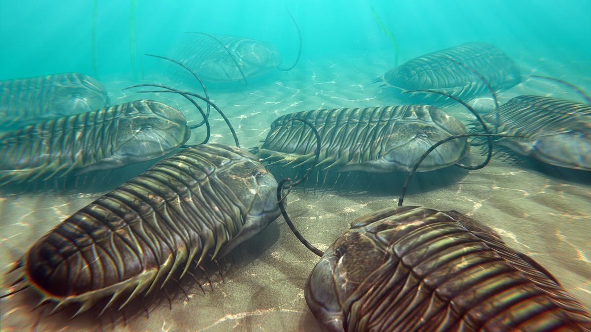 World's oldest known case of cannibalism revealed in trilobite fossils