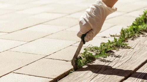 7 easy ways to remove weeds from patios and pavers