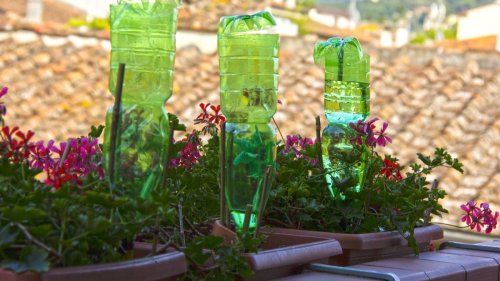 This is how to make a DIY drip irrigation kit for free