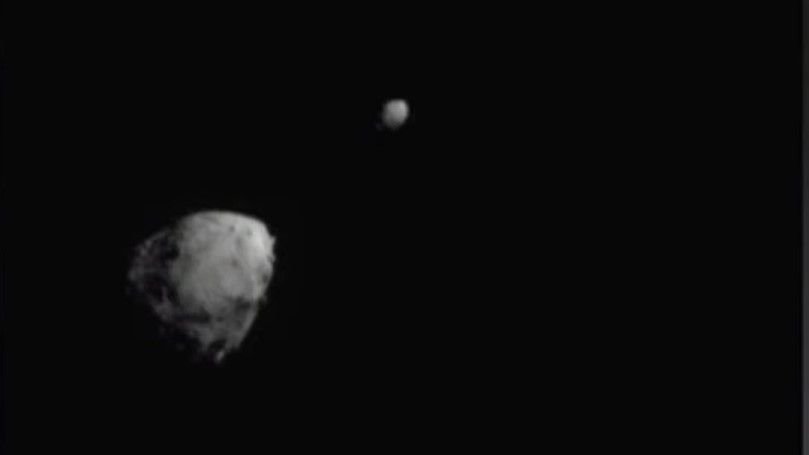 Didymos binary asteroid system: NASA's target for DART