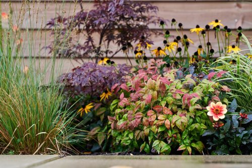 Colder seasons are approaching - here's what to do in your home & garden