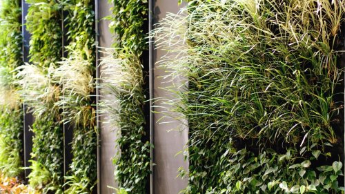 How to create a vertical garden – DIY advice for building a living wall
